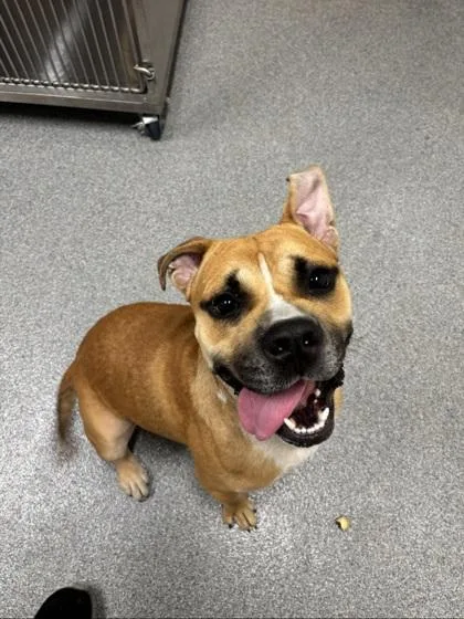 Jax