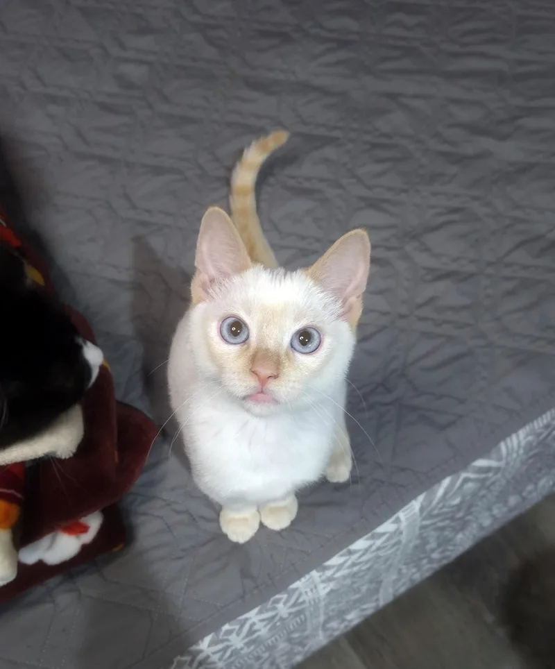 Marvin thumbnail 3
