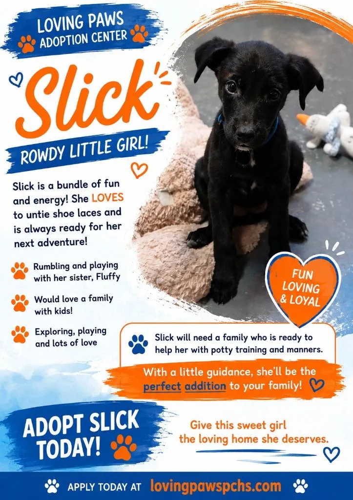 A baby medium-sized female Mixed Breed dog named Slick for adoption in Crocker, MO