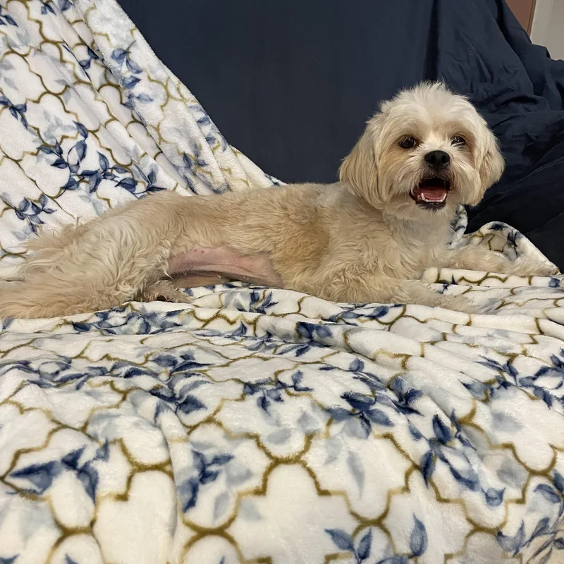 Chloe thumbnail 4