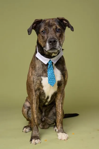 Marcellous thumbnail 2