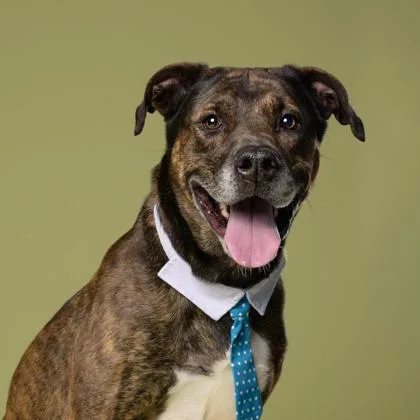 Marcellous thumbnail 3