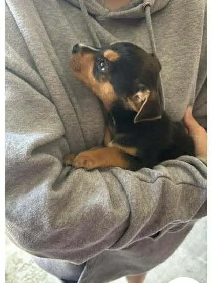 Lil Milo thumbnail 2