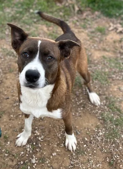 Kerrington thumbnail 2