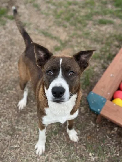 Kerrington thumbnail 3