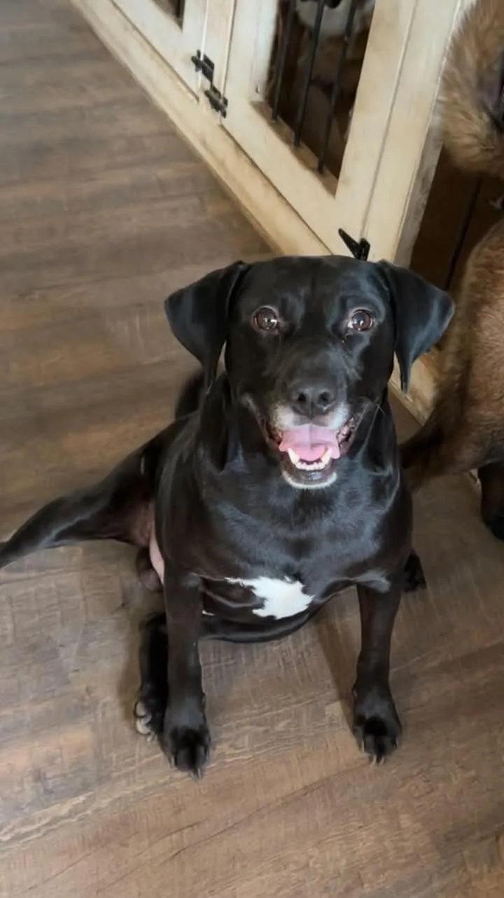 Cleveland thumbnail 2