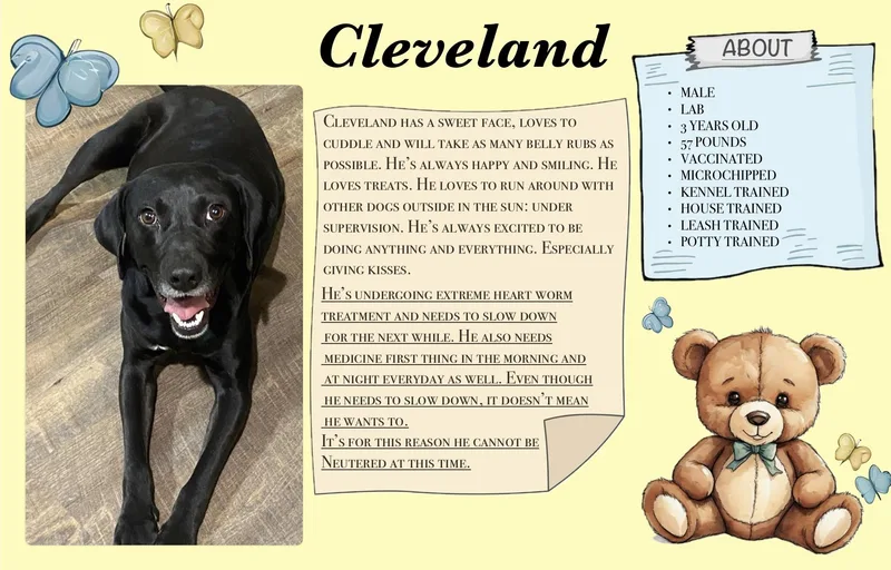 Cleveland thumbnail 3