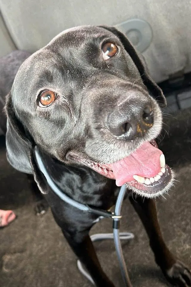 Cleveland thumbnail 4