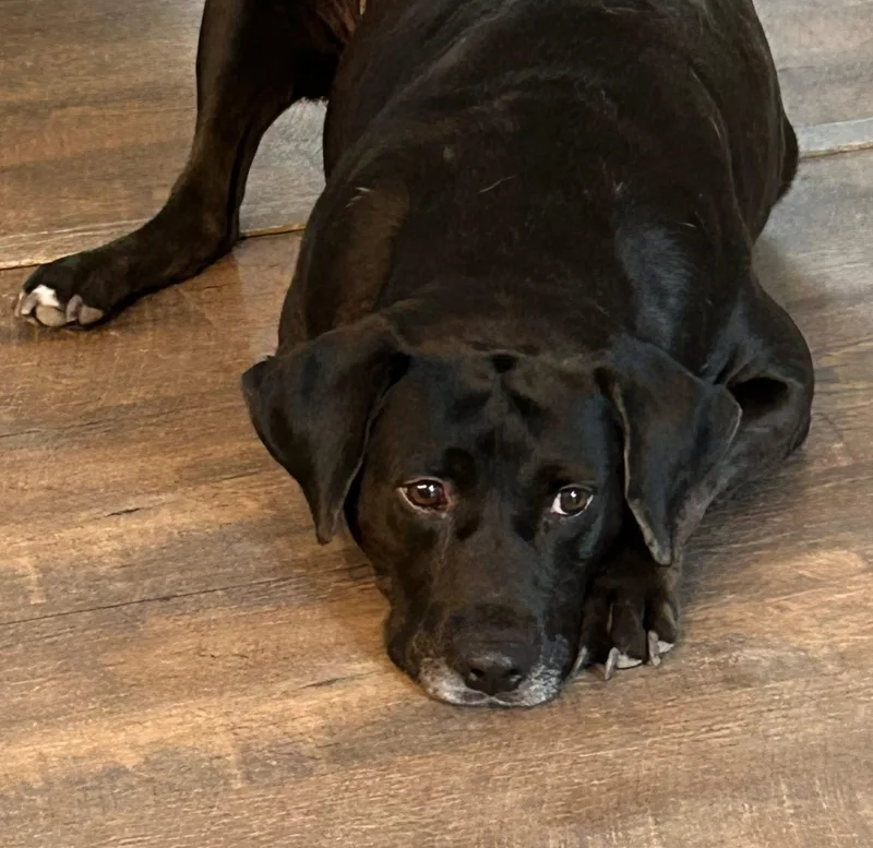 Cleveland thumbnail 5