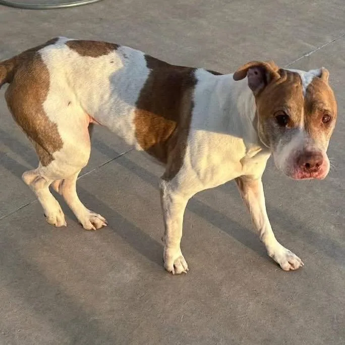 Esmeralda thumbnail 2