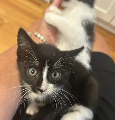 Genesis and Tara thumbnail 2
