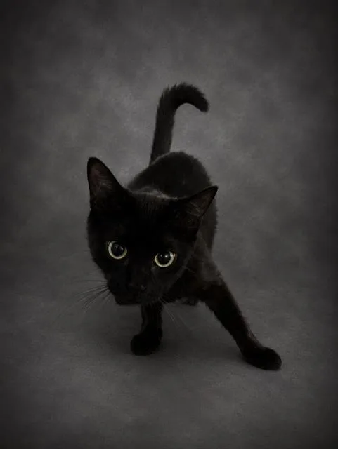 Sabrina