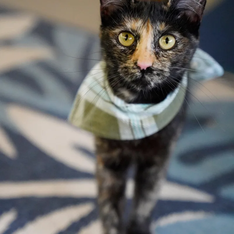 Madame Leota