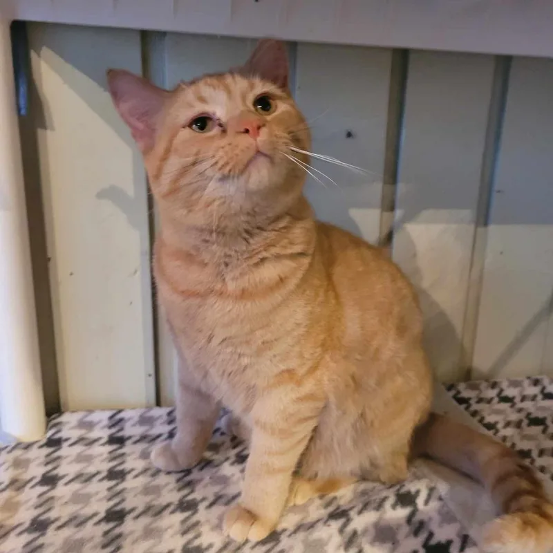 Emmaline thumbnail 2