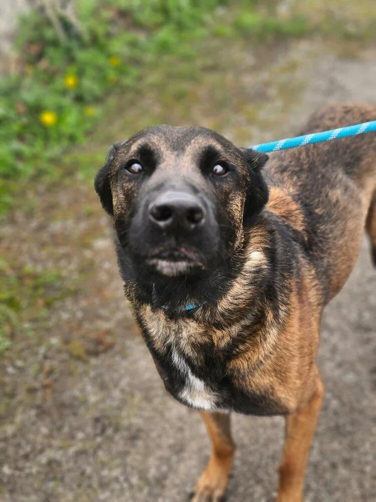 Luk  Fka Luke thumbnail 3