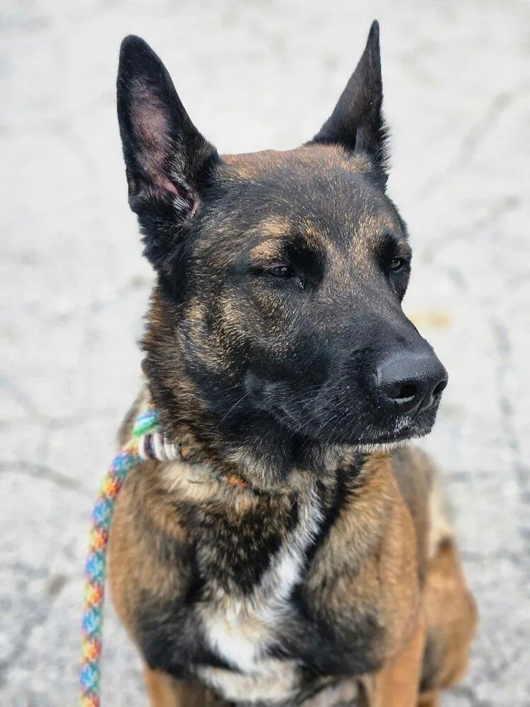 Luk  Fka Luke thumbnail 5