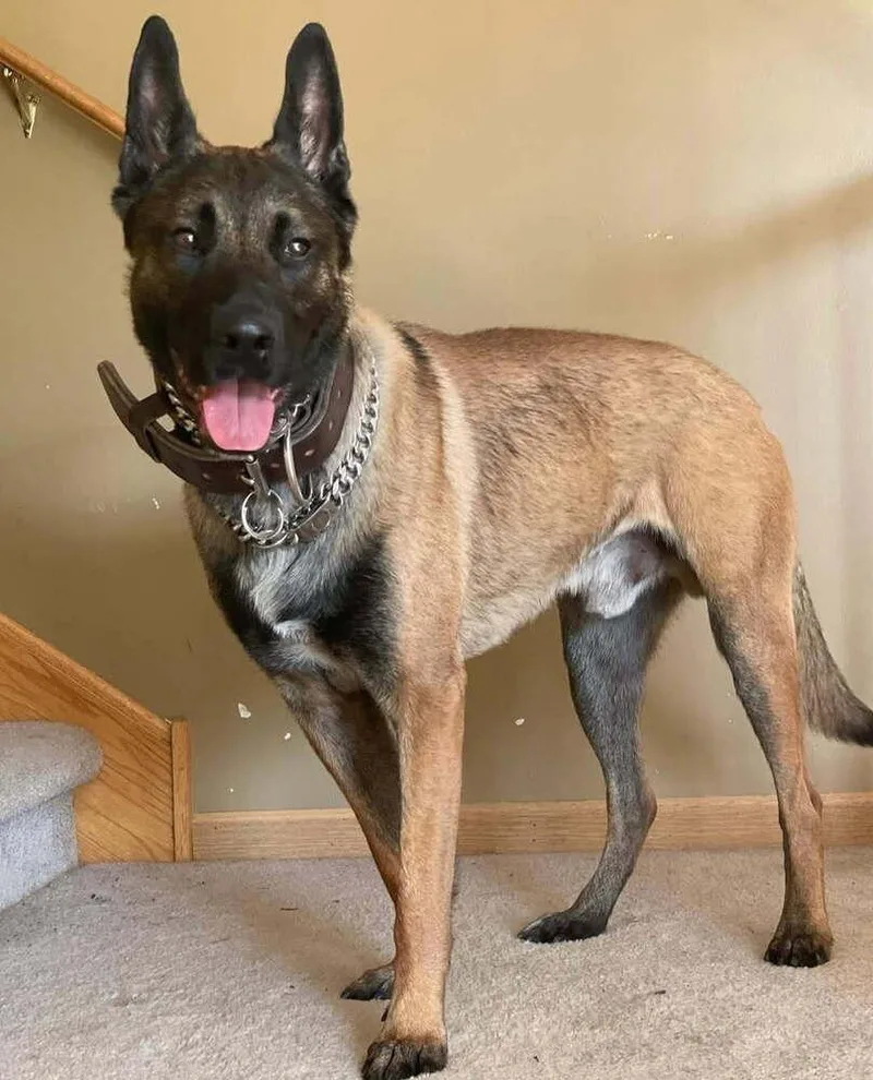 Luk  Fka Luke thumbnail 6