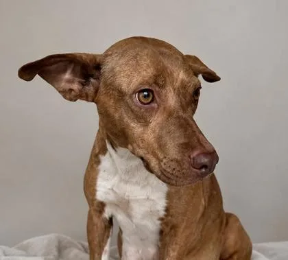 Fiona