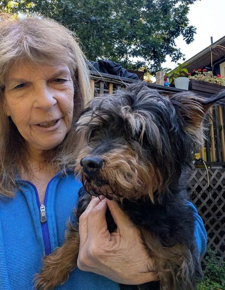 An adult medium-sized female Affenpinscher dog named Tuti for adoption in Caldwell, NJ