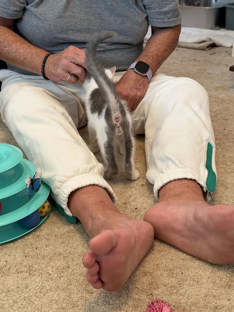 Samson thumbnail 2