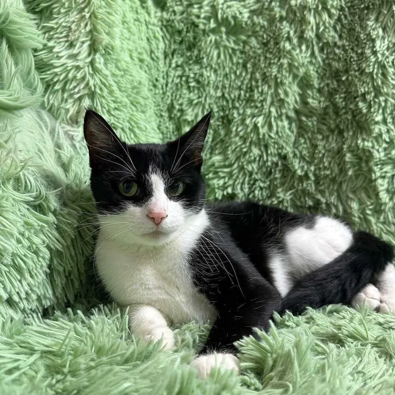 Lunchbox thumbnail 2