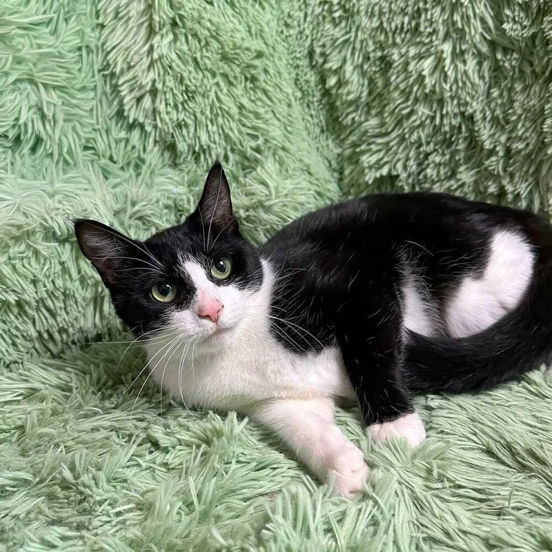 Lunchbox thumbnail 3