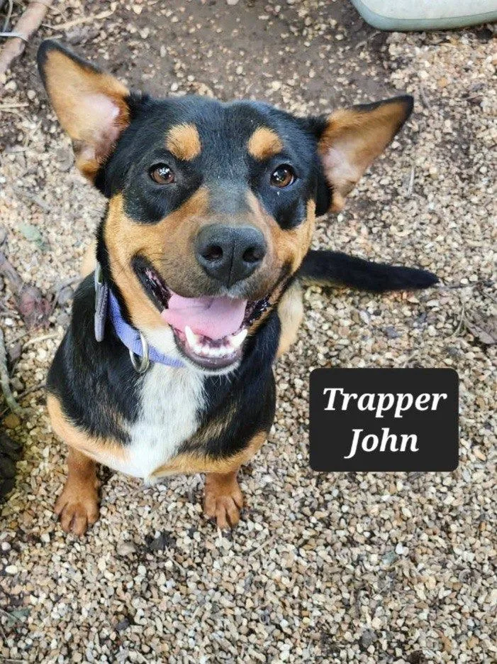 Trapper John