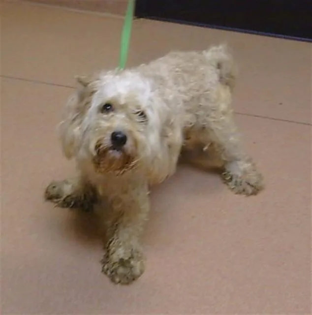 Berdly