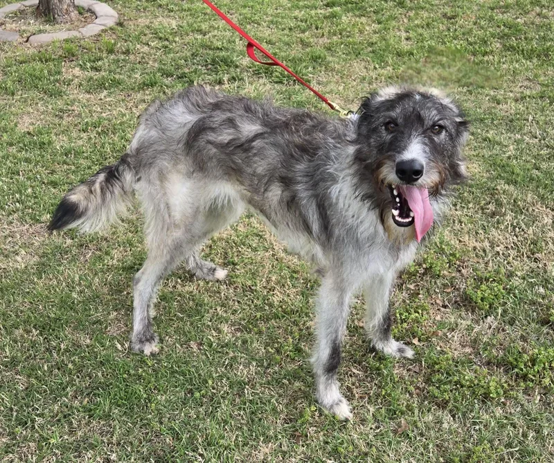 Jasmine   $ thumbnail 4