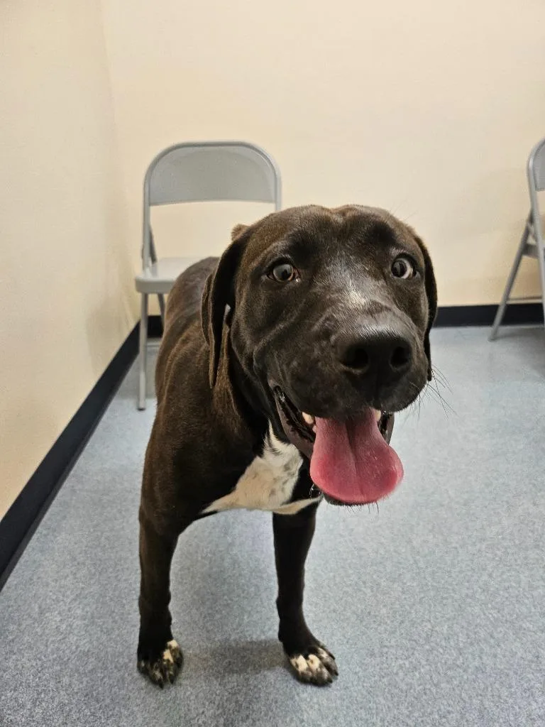 Valentine thumbnail 5