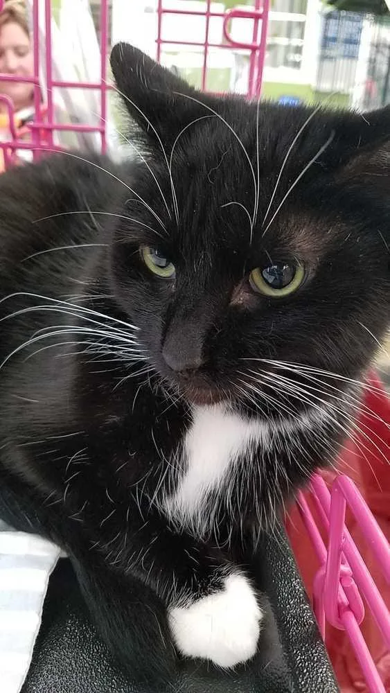 Temperance thumbnail 2