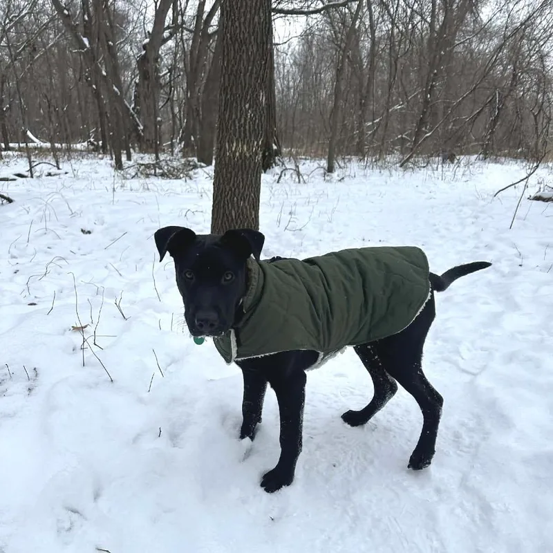 Snoop Dogg thumbnail 2