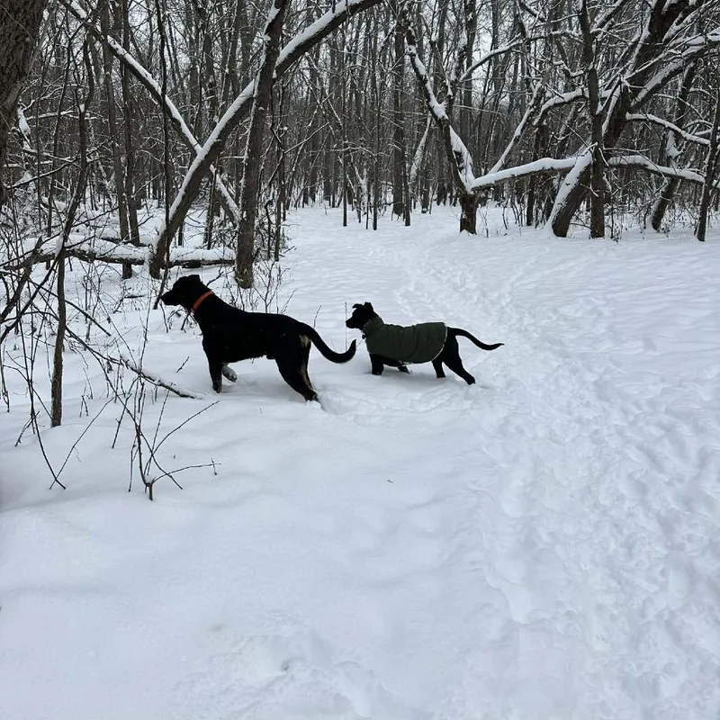 Snoop Dogg thumbnail 5