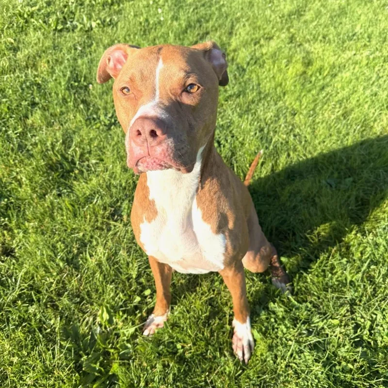 Coco thumbnail 6