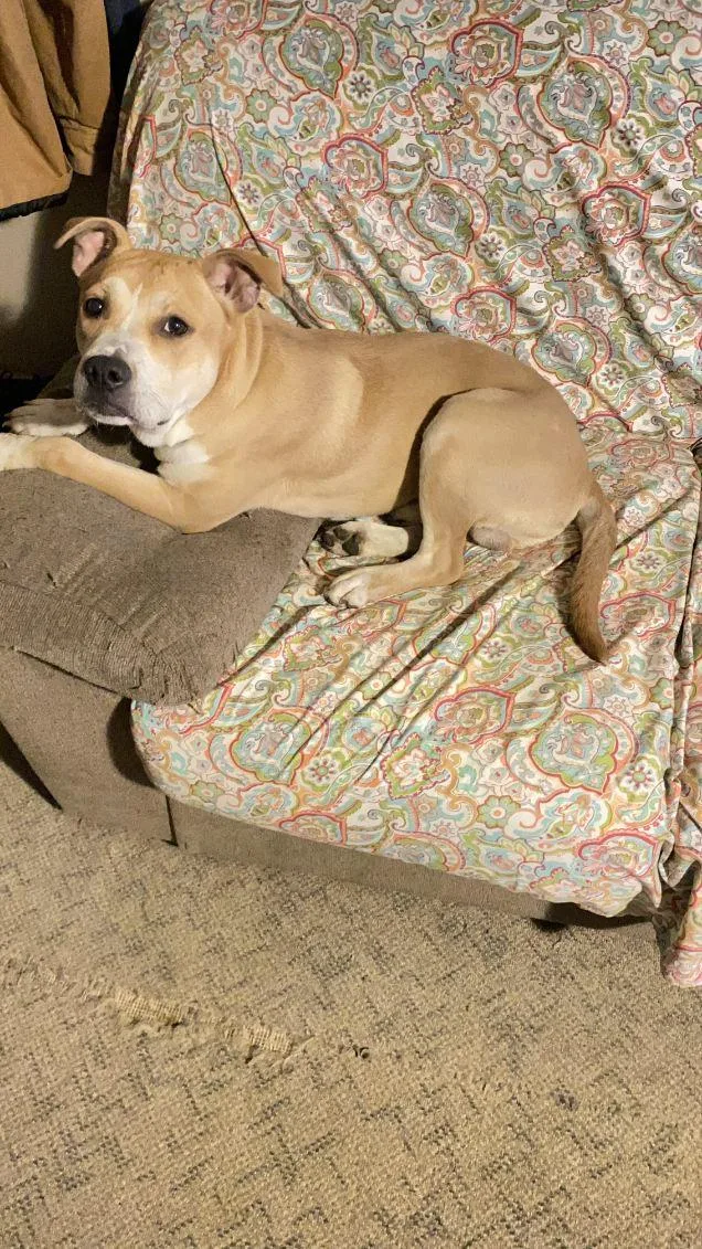 Maverick thumbnail 2