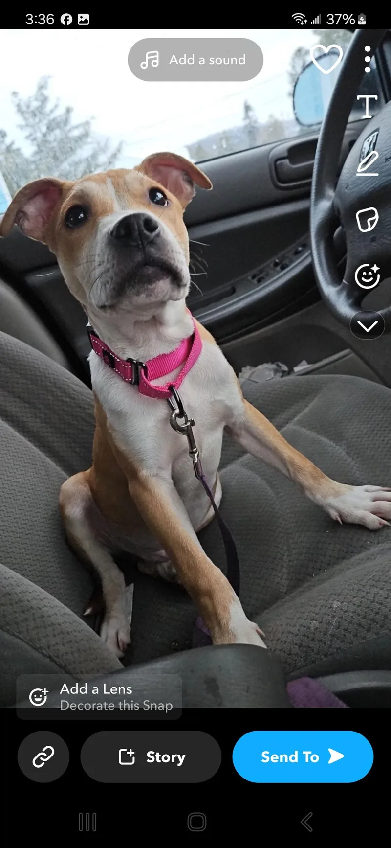 Maverick thumbnail 3