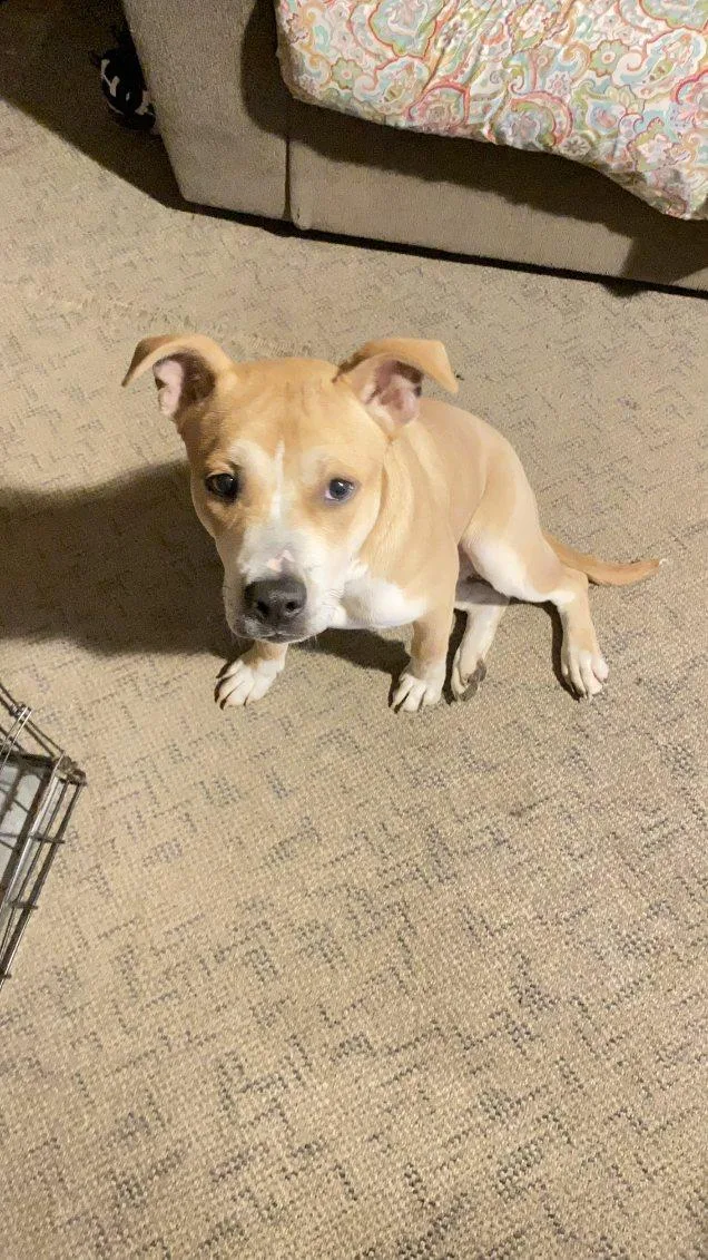 Maverick thumbnail 5