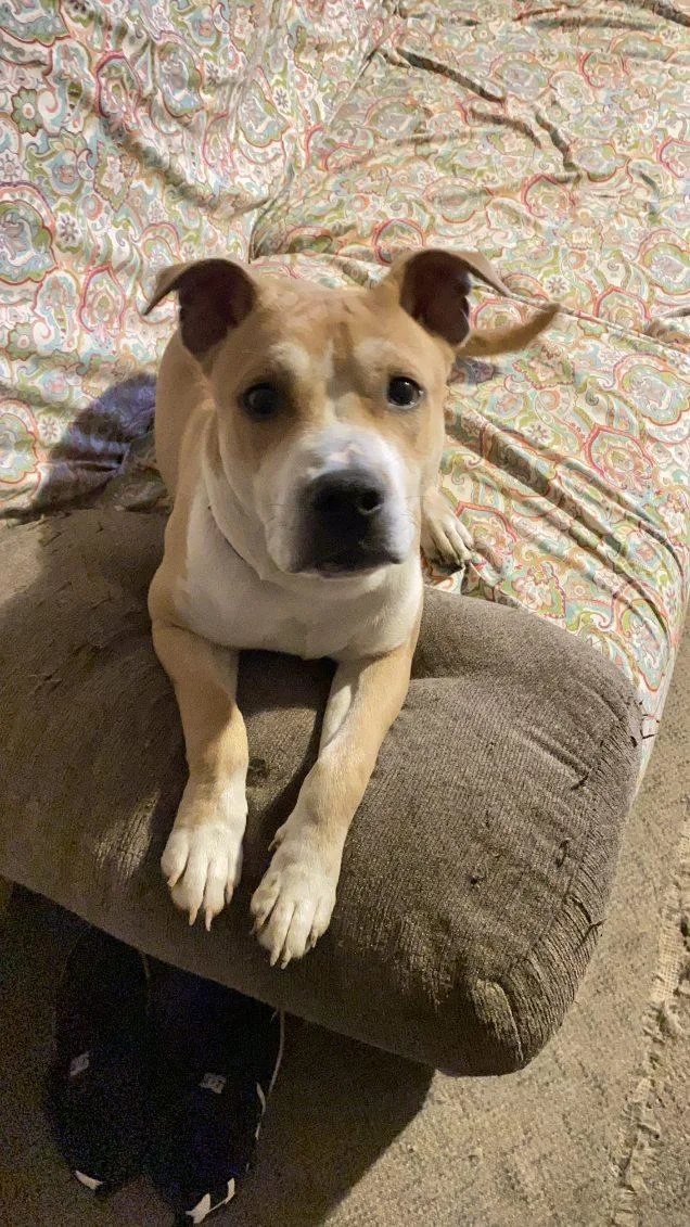 Maverick thumbnail 6