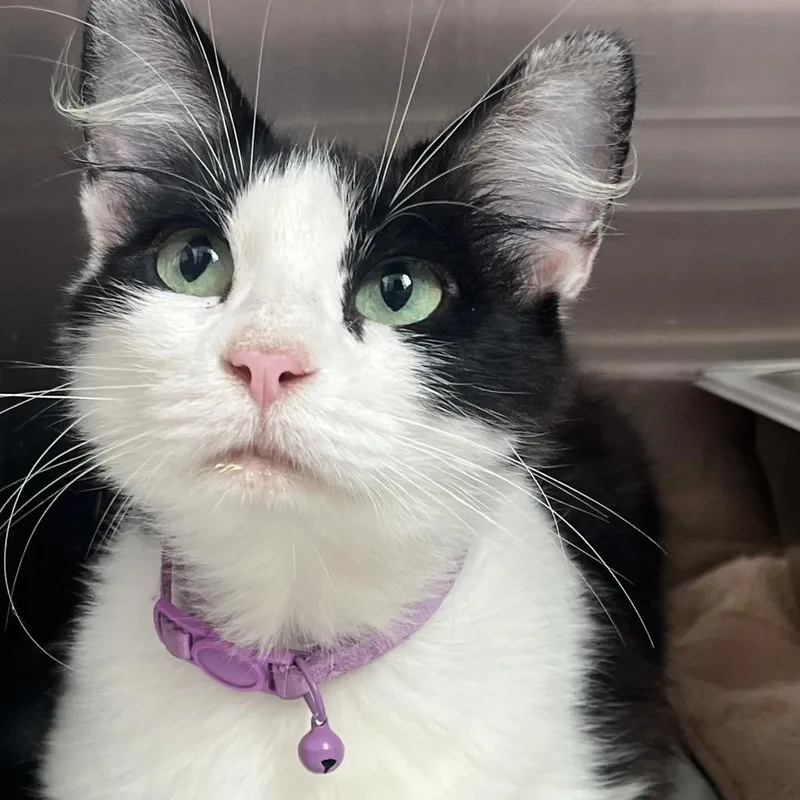 Rosie