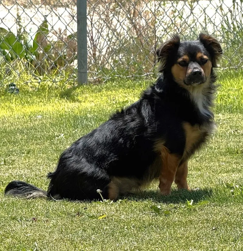 Darwin