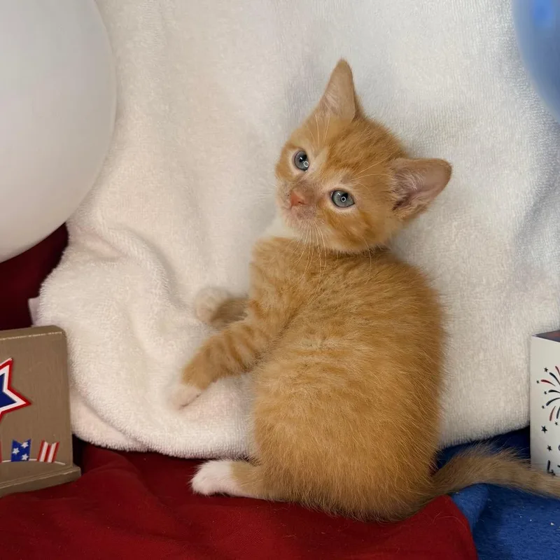 Karen thumbnail 5