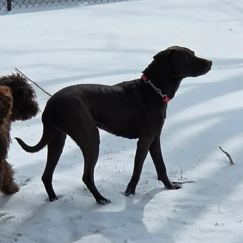 Marjorie thumbnail 2