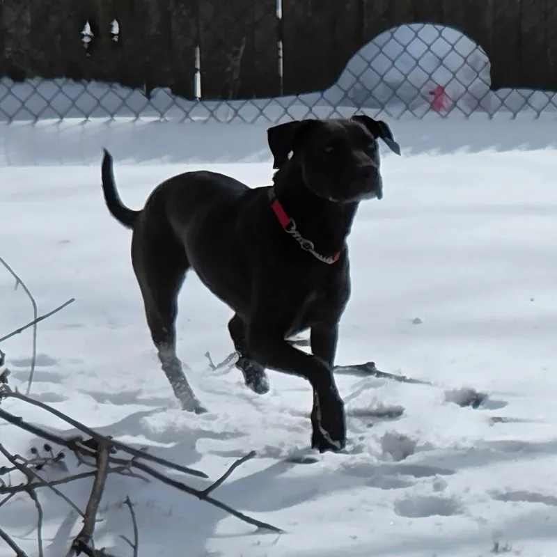 Marjorie thumbnail 3