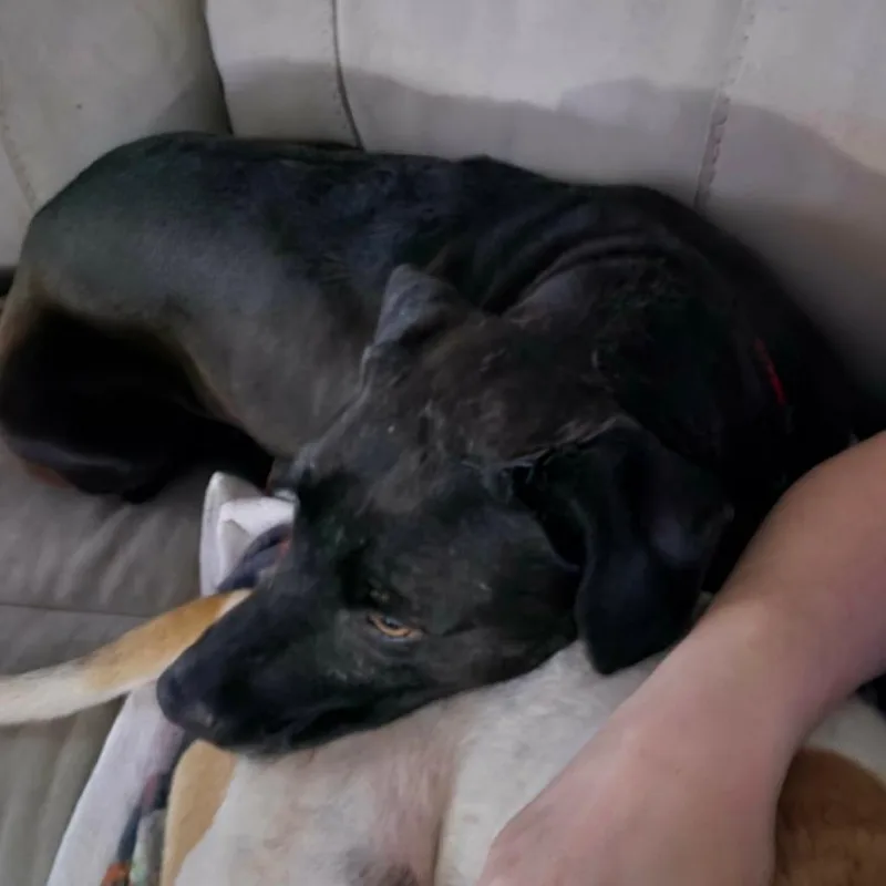 Marjorie thumbnail 4