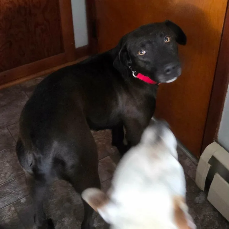 Marjorie thumbnail 5