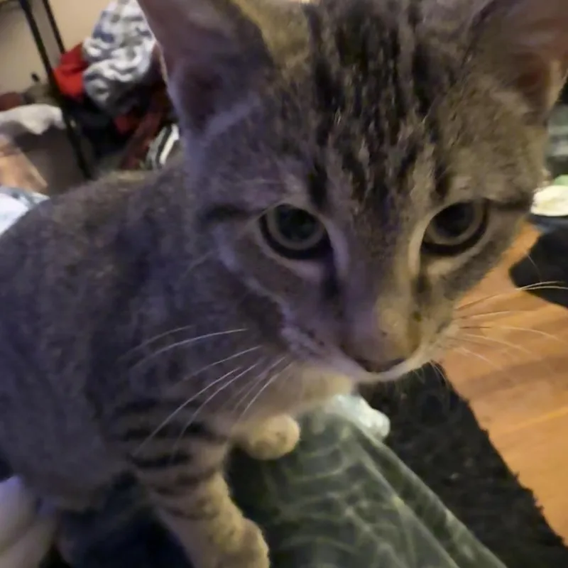 SleepyAustin thumbnail 2
