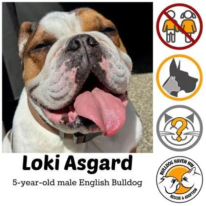 Loki Asgard thumbnail 2