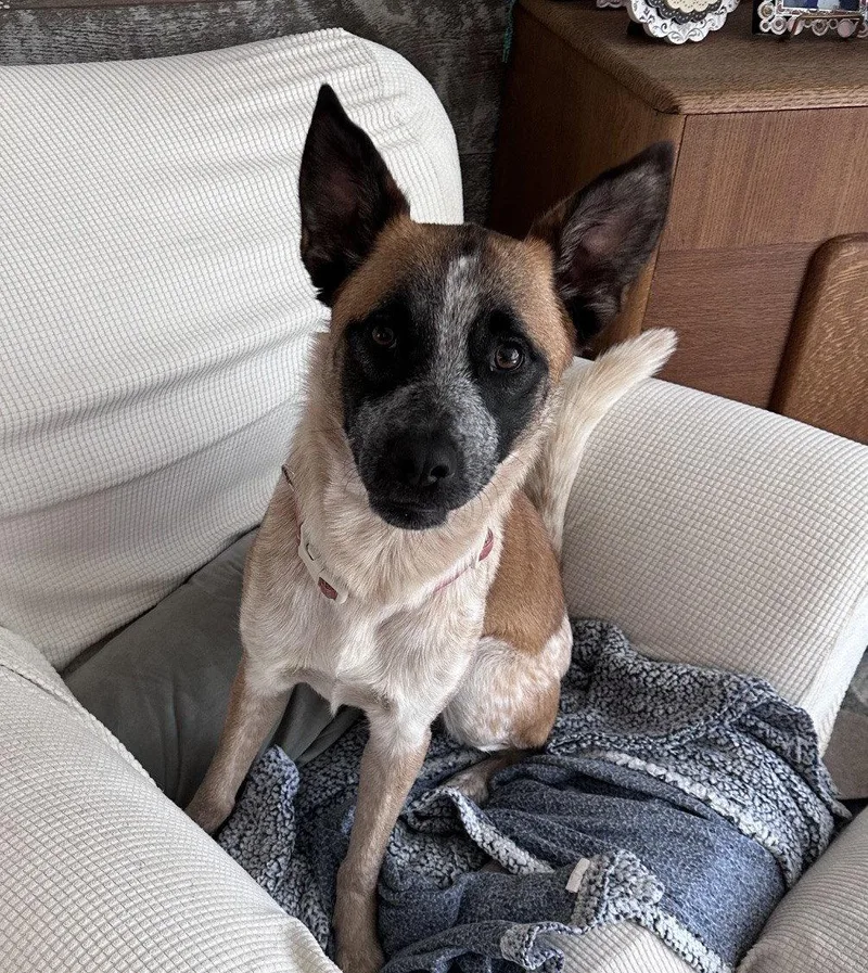 Daisy Lou