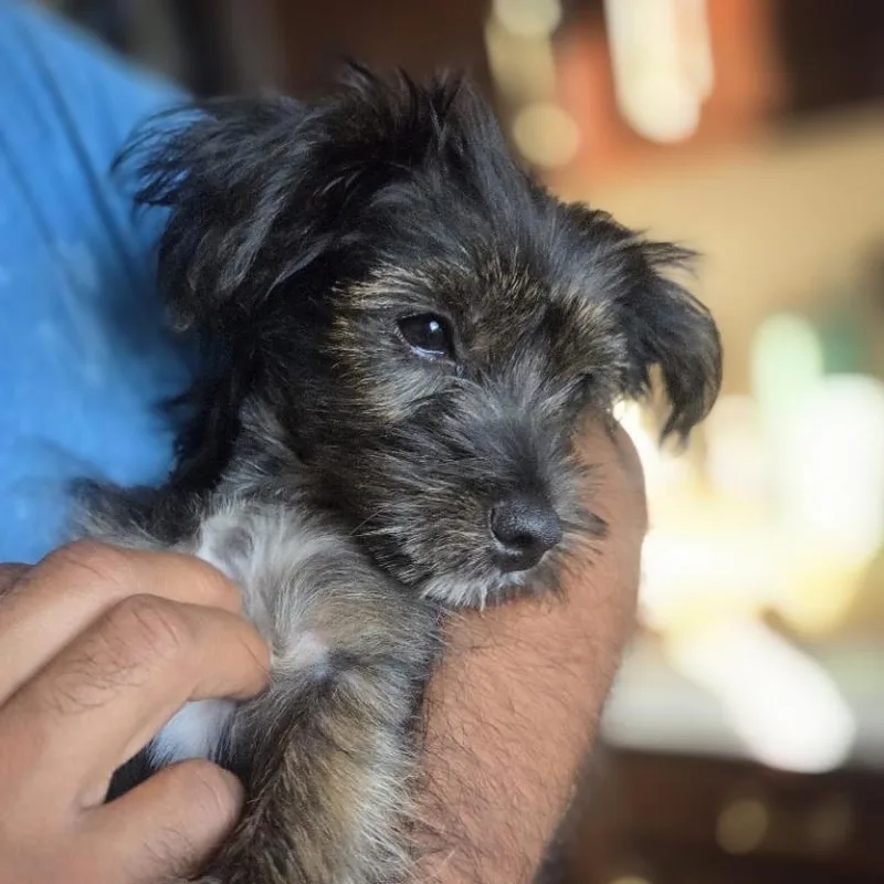 Winnie thumbnail 4