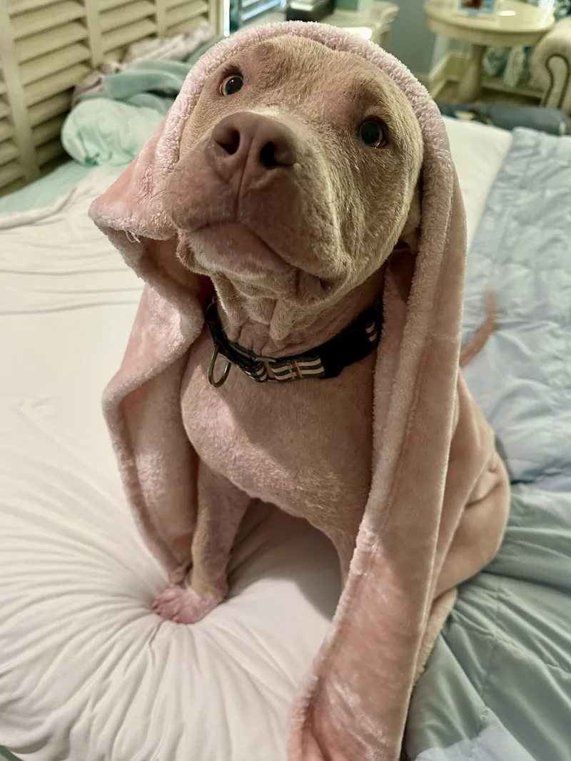 Tater